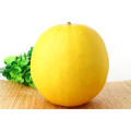 HSM23 Wanceng rond jaune hybride F1 graines de melon sucré hybride